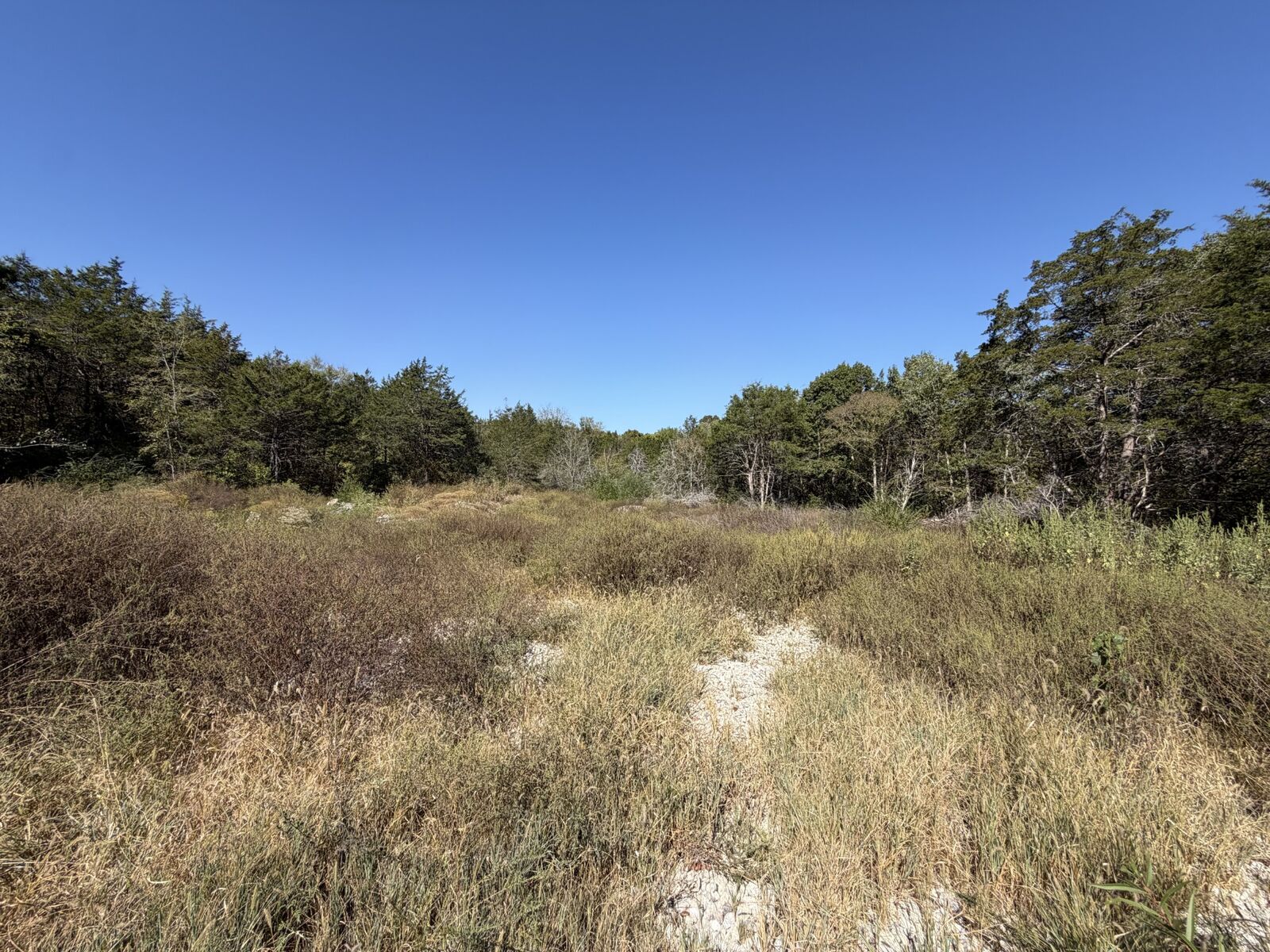 Property Photo: 9380 Rockvale Rd TN 37153