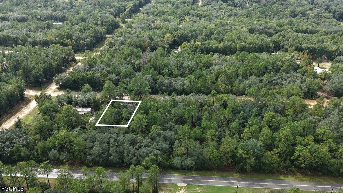 Property Photo: 604 Del Monaco Ave Avenue FL 32148