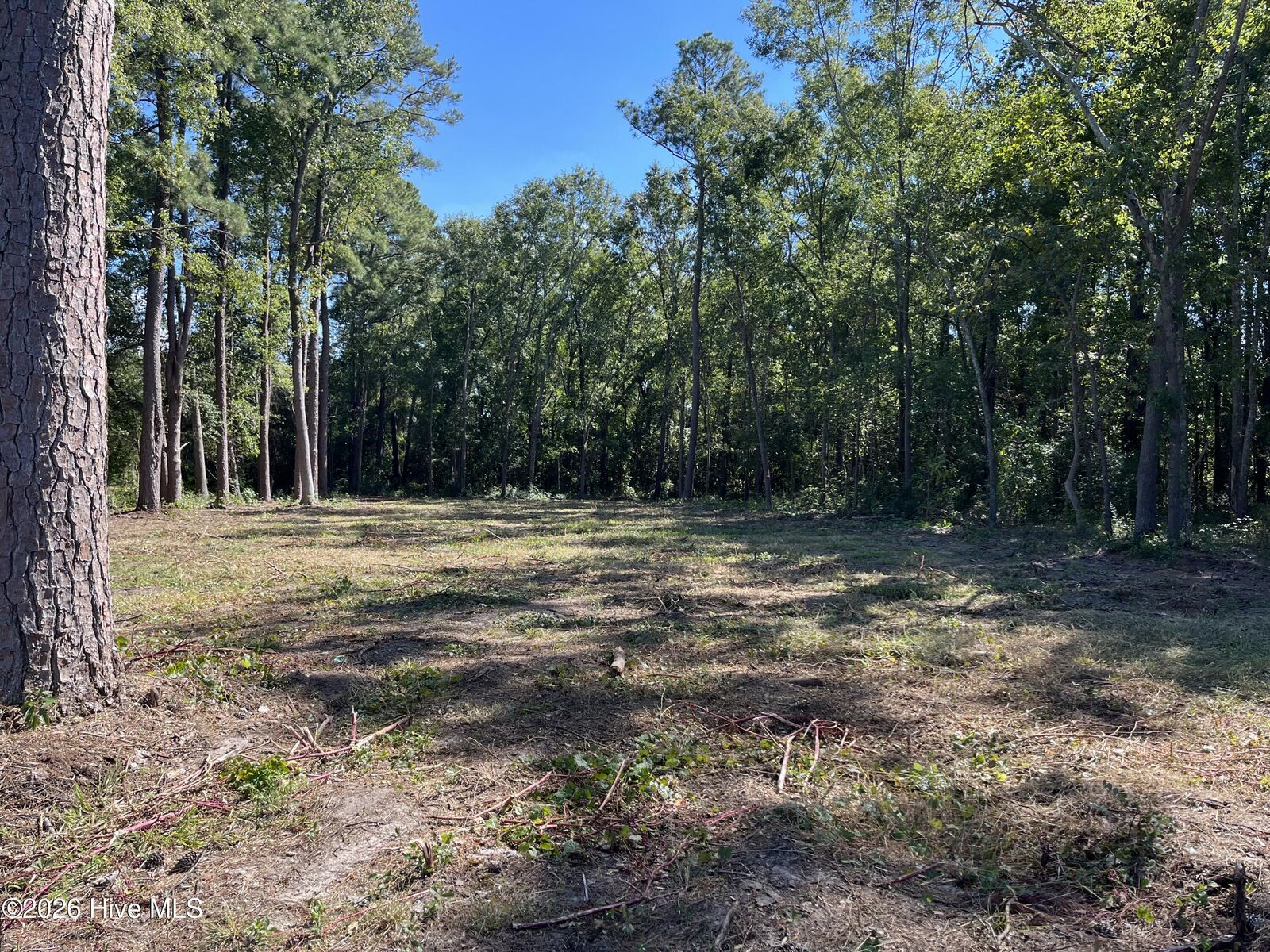 Property Photo: 2 N Gill Street 010031 01071 NC 28352