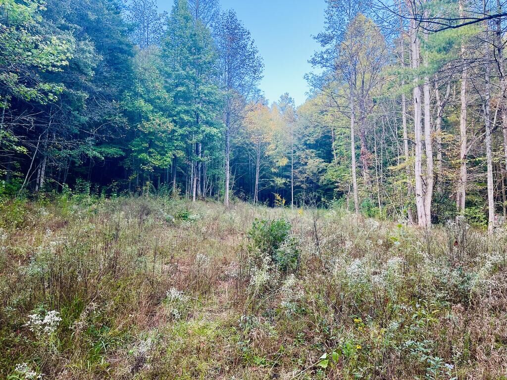 Property Photo: 1798 Flea Mountain Road NC 28906