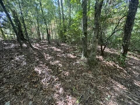 Property Photo: Lot 1 Laurelwood Circle NC 28906