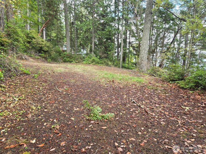 Property Photo:  91  Pleasant Harbor Road  WA 98320 