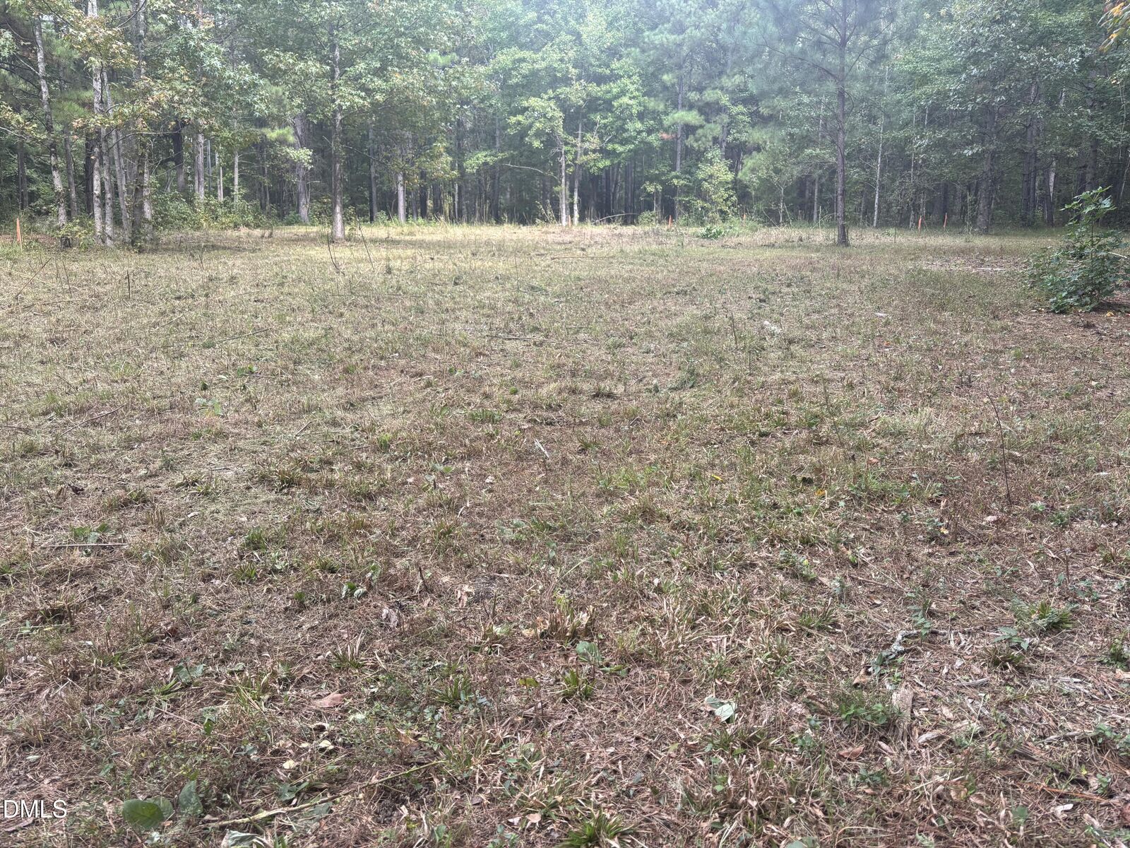 Property Photo:  4030 Granite Ridge Trail  NC 27616 
