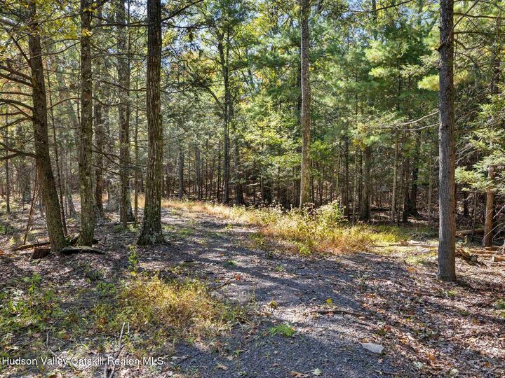 Property Photo: 324 W Saugerties-Woodstock NY 12498
