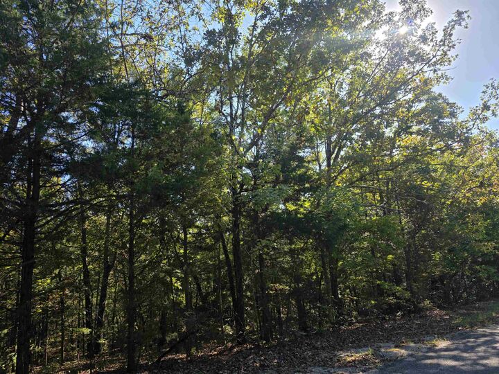 Property Photo:  1007 E Wisconsin Avenue  AR 72512 