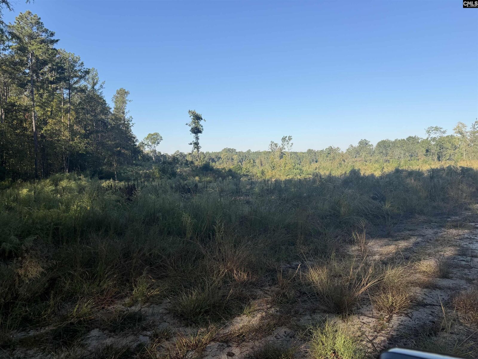 Property Photo: 0 Sc Hwy 773 SC 29126