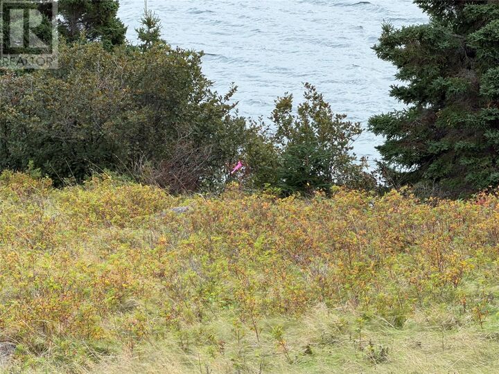 Property Photo:  263A Corporal Jamie Murphy Memorial Drive  NL A0A 2P0 