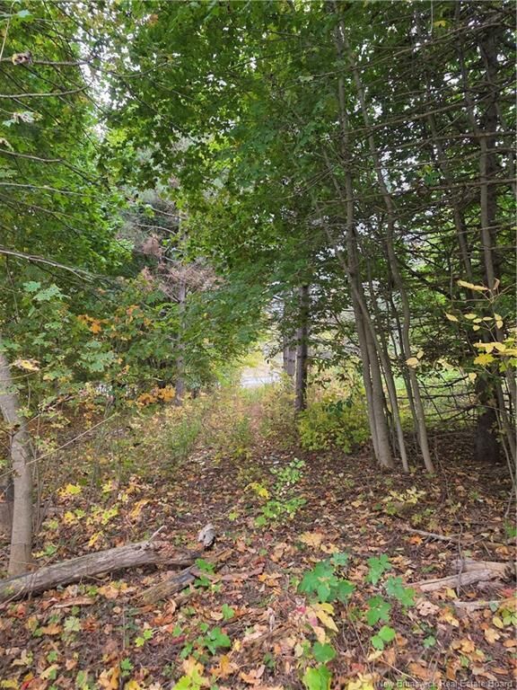 Photo de la propriété:  19 Carlisle Road  NB E3A 7M3 