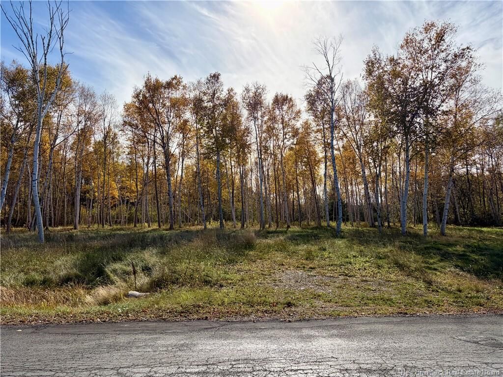 Property Photo:  Vacant Land Goulette Point Road  NB E8E 2K7 