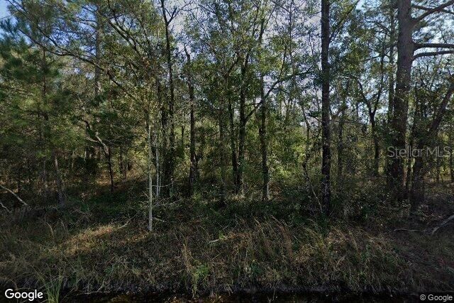 Property Photo:  10100 Vaughan Avenue  FL 32145 