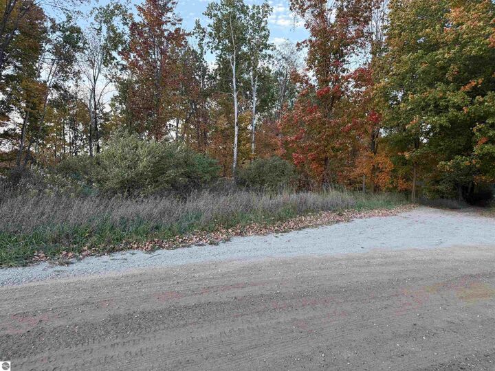 Property Photo: Vl W Hovey Road MI 48623
