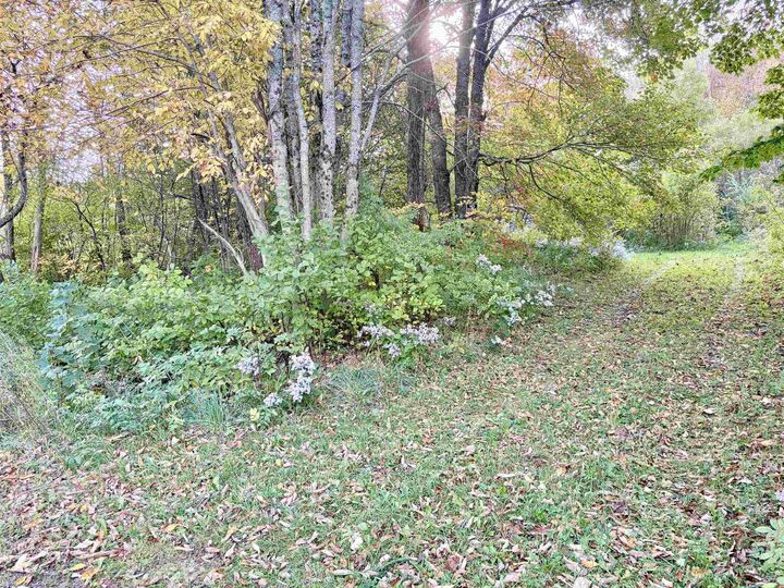 Property Photo:  272 Welch Road  NS B4P 2R1 