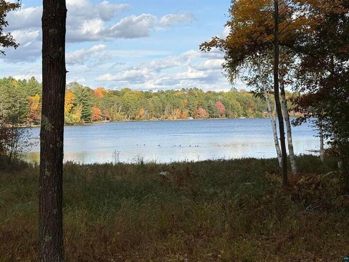 Property Photo:  51190 Loon Echo Lane  WI 54873 