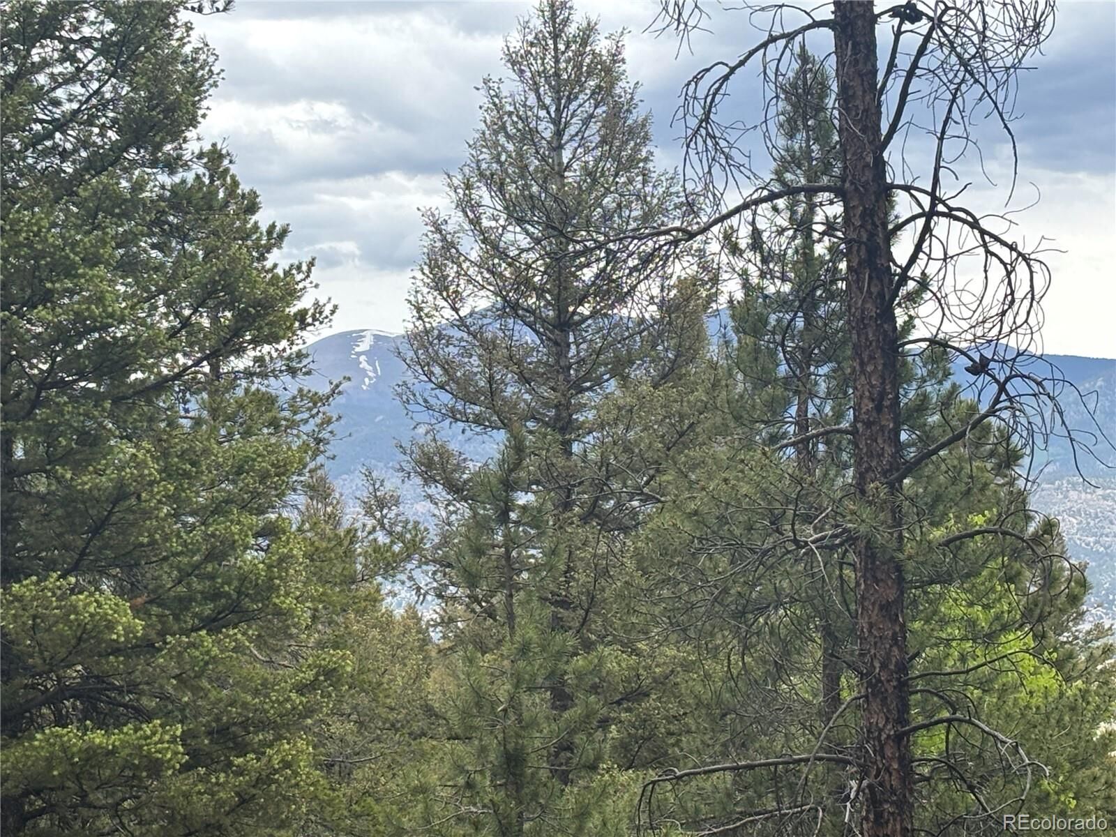 Property Photo:  30304 Aspen Turn  CO 81211 