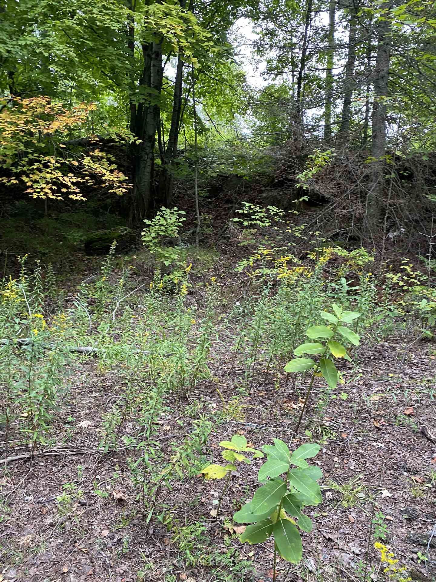 Property Photo:  6055 Hwy 620 N/A  ON K0L 1P0 