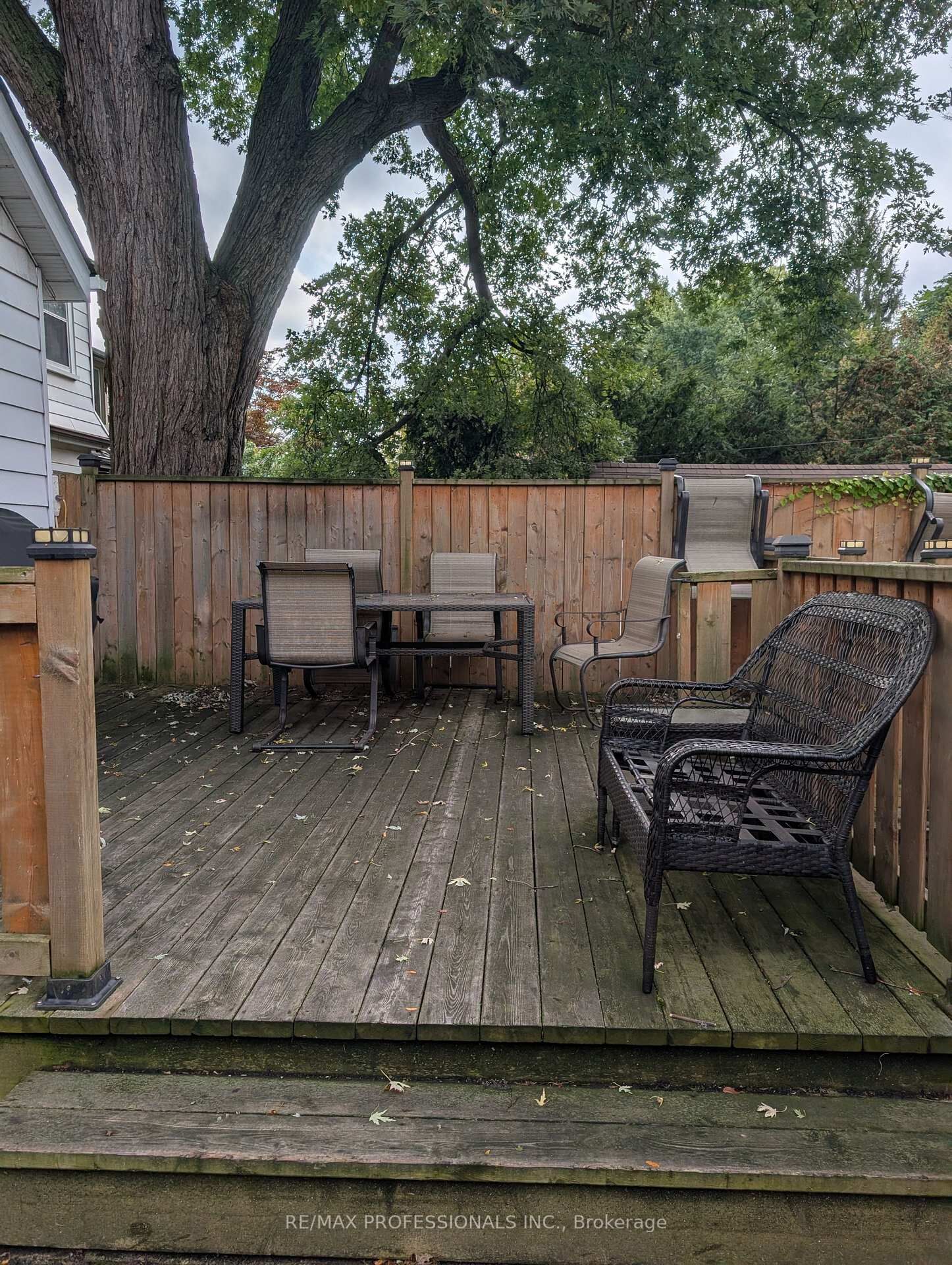 Property Photo:  38 Wheatfield Road Bsmt  ON M8V 2P6 