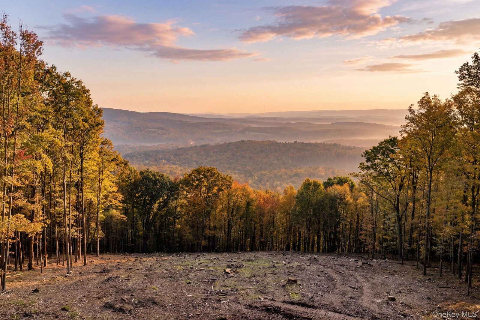 Property Photo:  114 Skyline Drive  NY 12765 