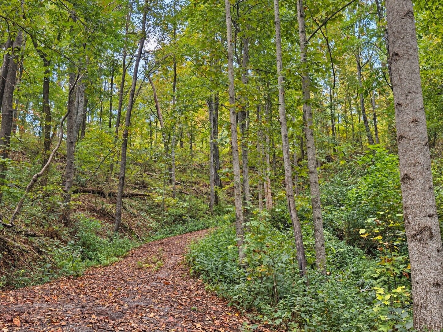 Property Photo:  0 Harbor Dr  TN 38569 
