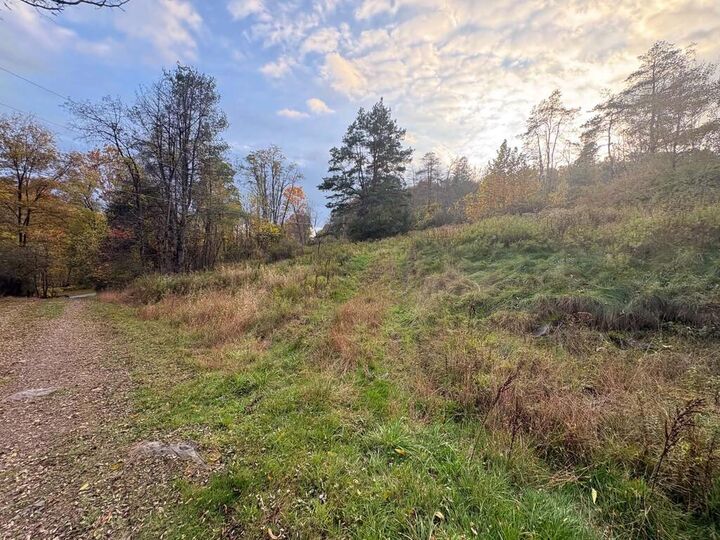 Property Photo:  4763 State Route 187  PA 18846 