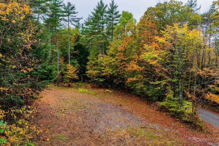 Property Photo:  0 Grimes Hill Road  NH 03777 