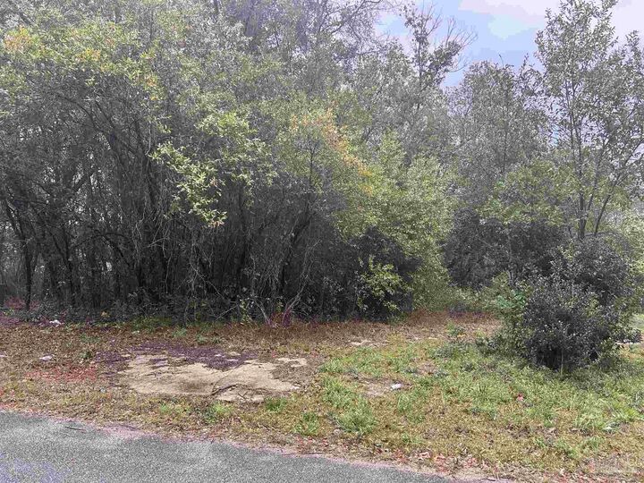 Property Photo: Lot 11, Blk 3 McConnell St AL 36426