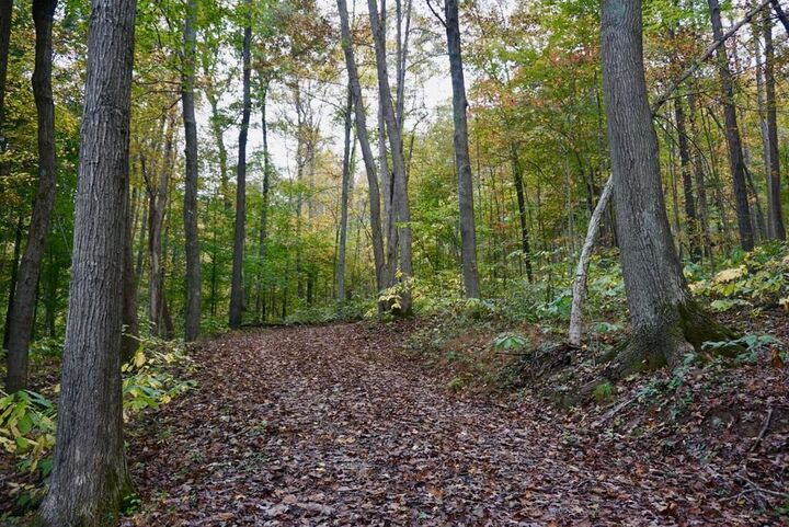 Property Photo:  528 Sunfish Creek Road  OH 45661 