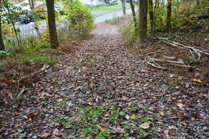 Property Photo:  528 Sunfish Creek Road  OH 45661 