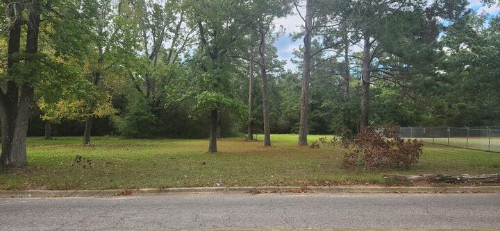 Property Photo: 317 E Spring 0 E Spring Street AL 36303