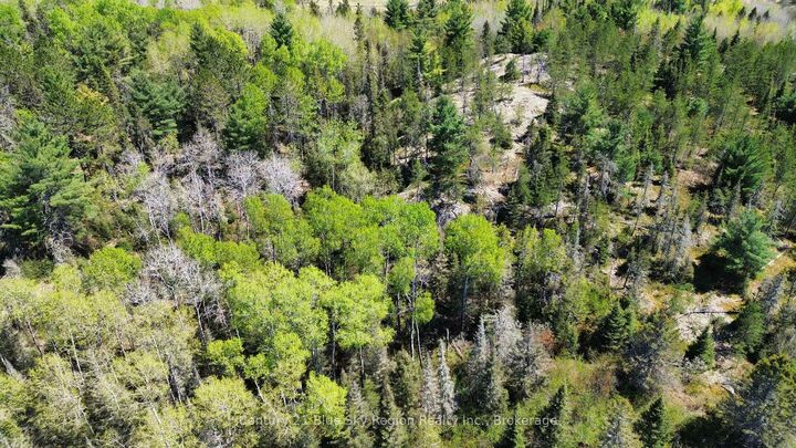 Property Photo:  114 De La Montee Road  ON P0H 1M0 