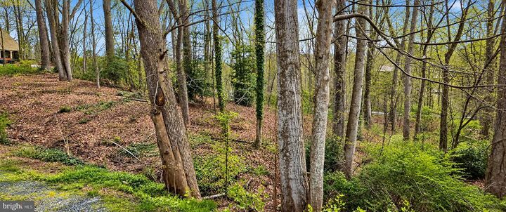 Property Photo:  Hampton Drive  VA 22405 