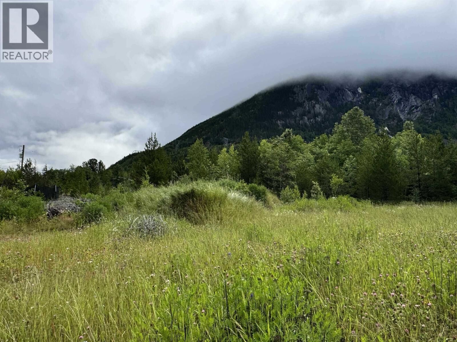 Property Photo:  3728 Dobbie Street  BC V8G 5T7 
