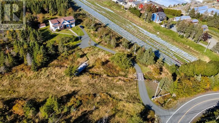Property Photo:  55 Heavy Tree Road  NL A1G 1P5 