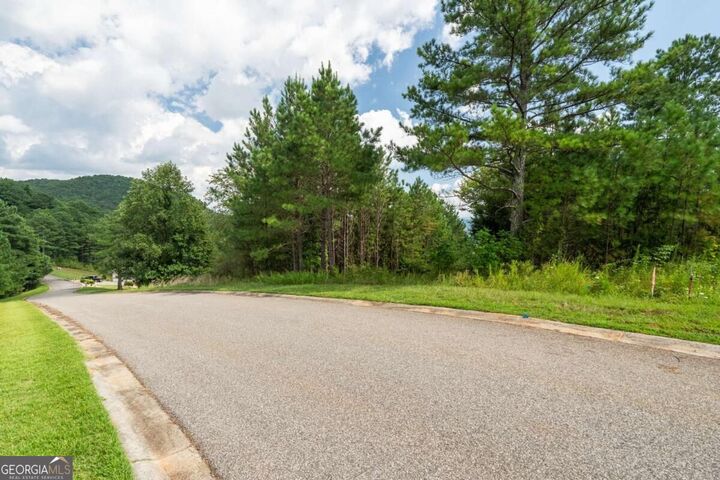 Property Photo: Lot 29 Sunset View GA 30512