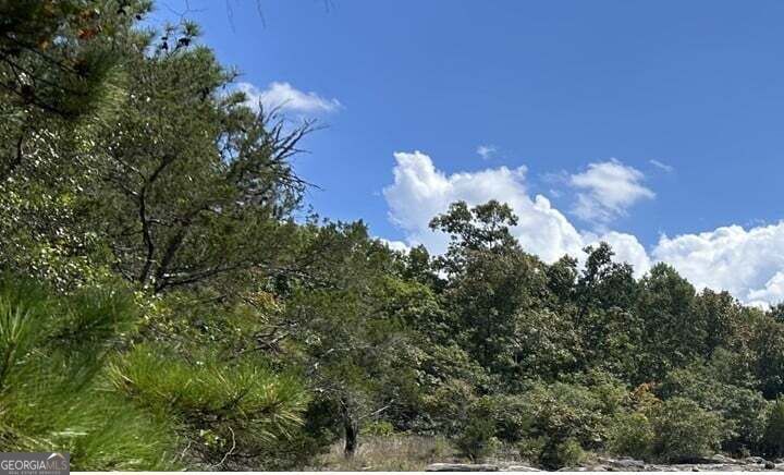 Property Photo:  2476 Rockbridge Road NW Lot 18  GA 30012 