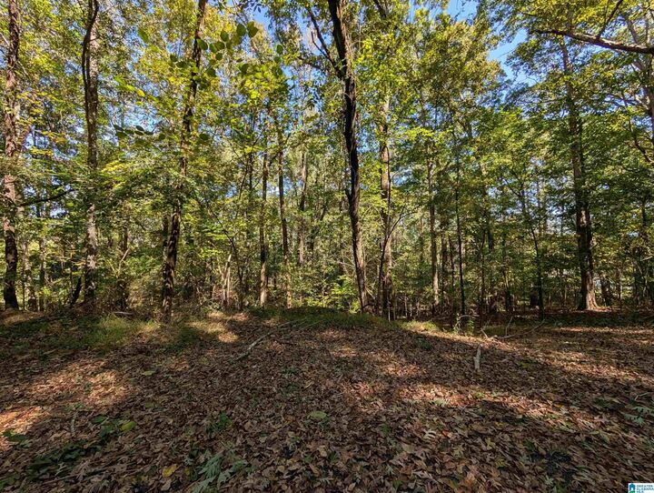 Property Photo:  0 Riverchase Drive 0  AL 35901 