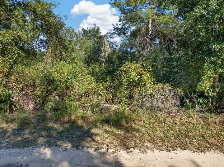 Property Photo:  431 Wilburton Drive  FL 32738 