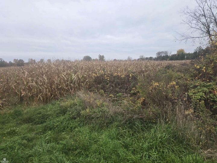 Property Photo: 00 Brown Vl Road MI 48006