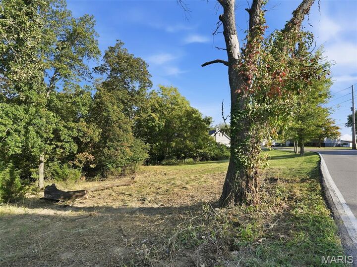 Property Photo:  0 Tomahawk Drive  MO 63010 