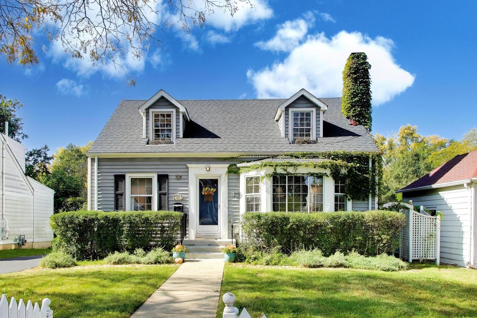 Property Photo: 314 S Wolf Road IL 60016