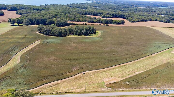 Property Photo:  Lot 0 Davis Road  AL 35611 