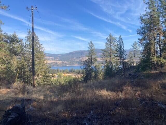 Property Photo: Xx Grand Louis Rd WA 99138