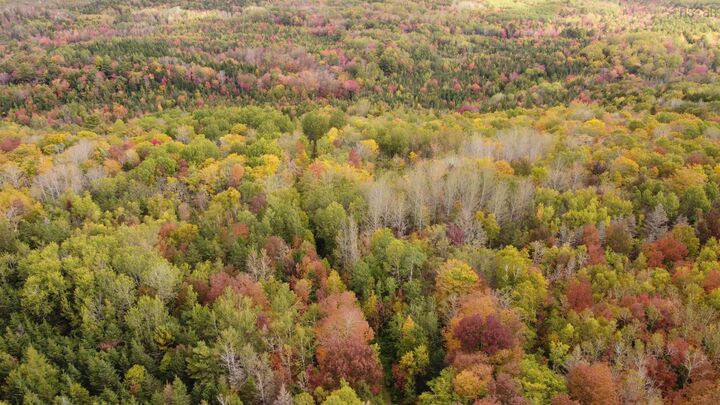 Property Photo:  Lot Clementsport Road  NS B0S 1A0 