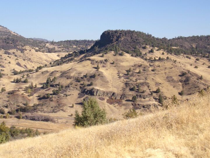 Property Photo:  10015 Buck Lane  CA 96044-0000 