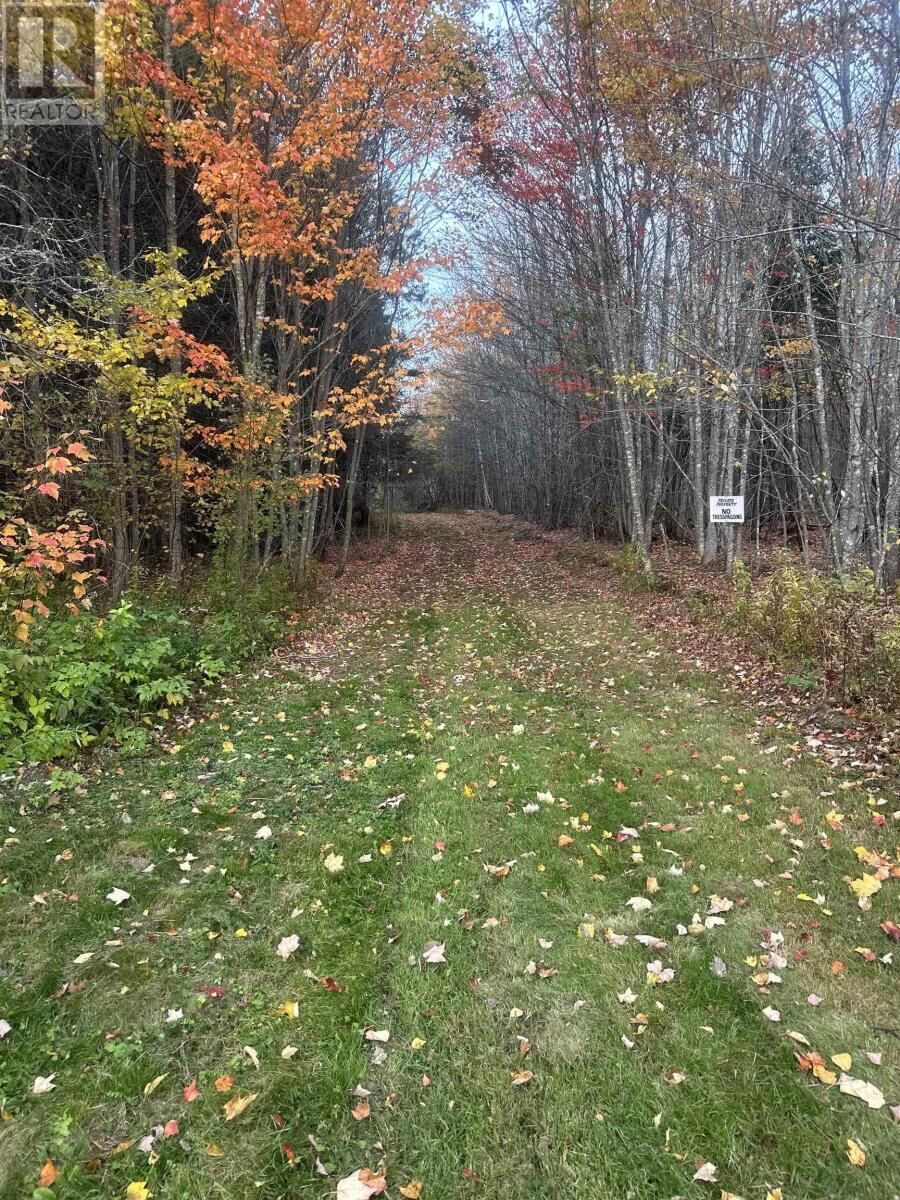 Property Photo:  Land Highway 307 Wentworth Ns  NS B0M 1Z0 