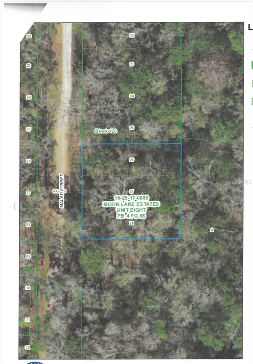 Property Photo:  Malati Street  FL 34654 
