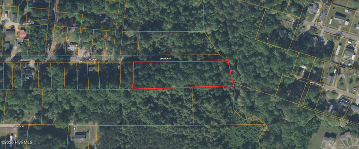 Property Photo: 0 Lincoln Street NC 27870