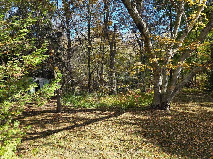 Property Photo: 107 Cliffcrest Drive ON M1M 2K1