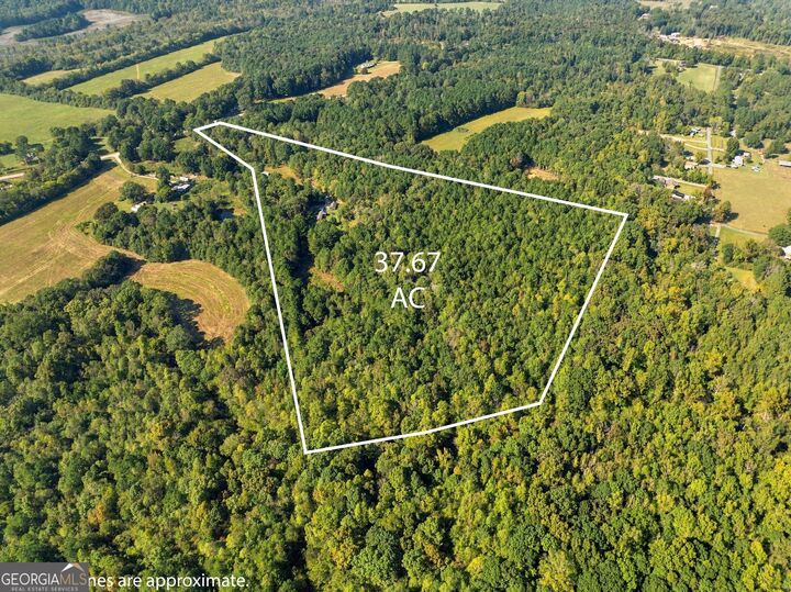 Property Photo:  8732 Highway 337  GA 30747 