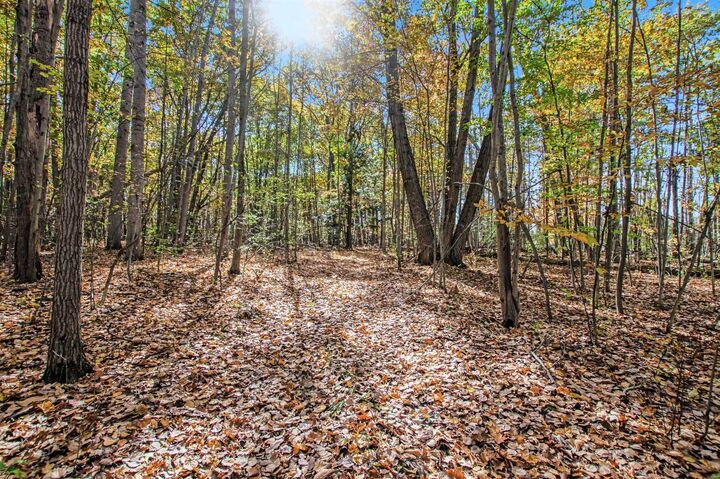 Property Photo:  Vl W Gordonville  MI 48640 