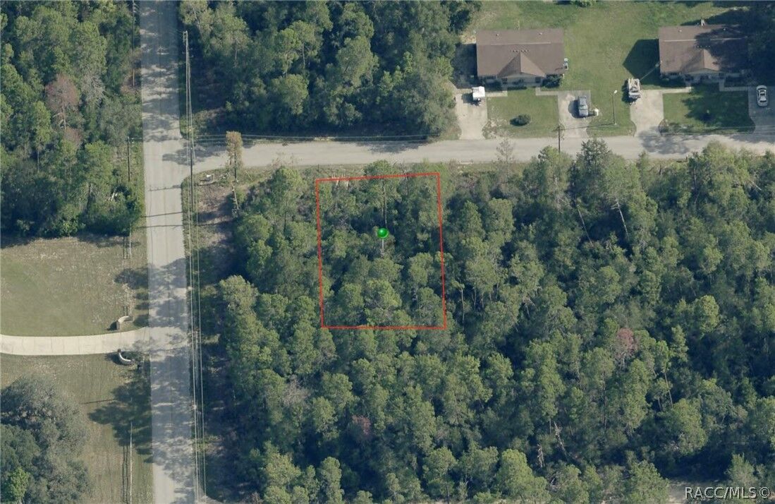 Property Photo:  3005 Clearwood Street  FL 34452 